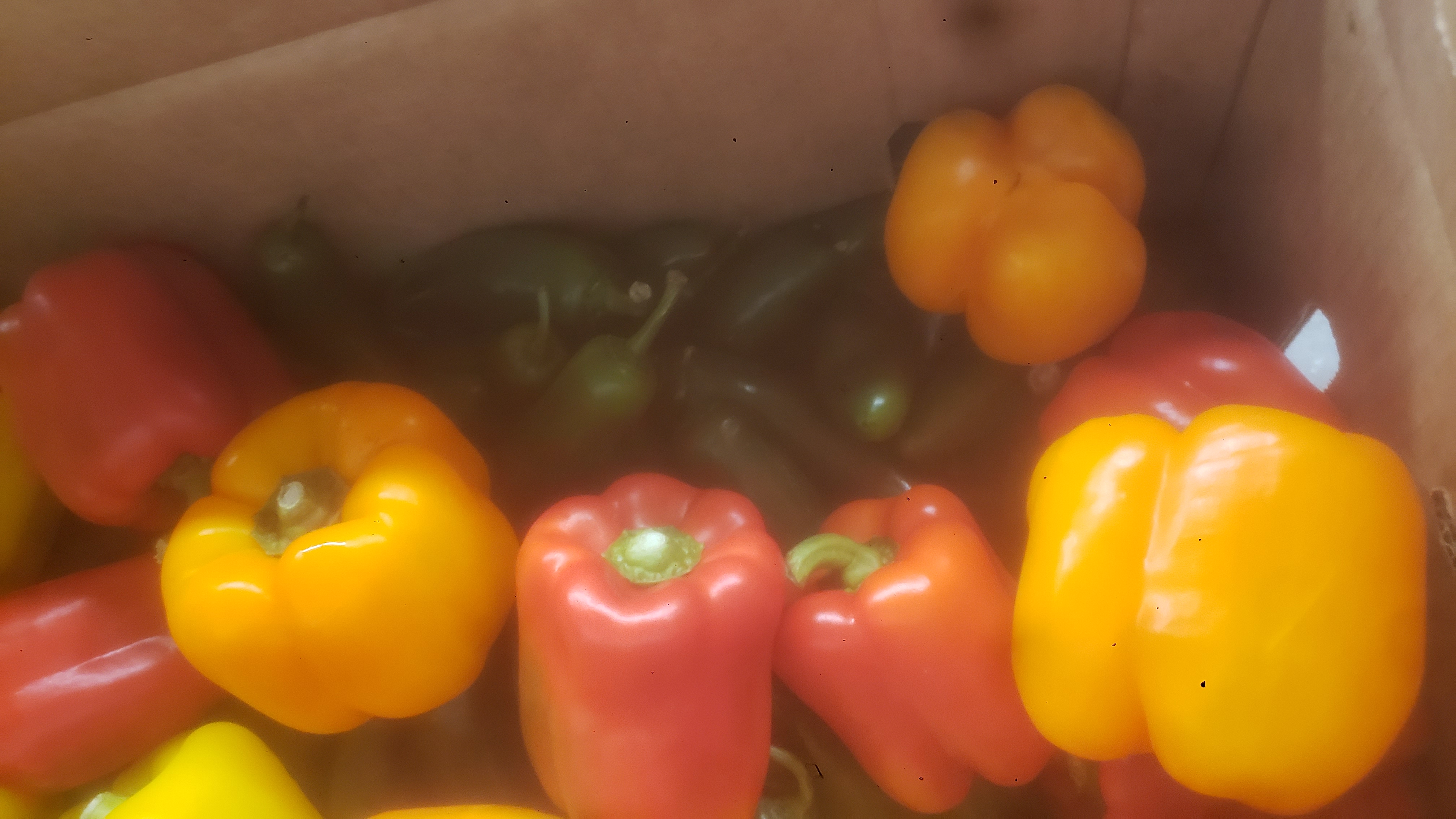 Cardboard box filled with bell peppers and jalapeño peppers.